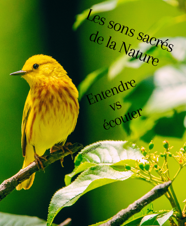 Les sons